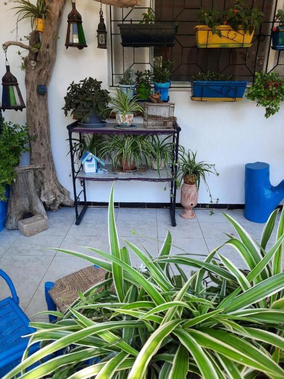 Maison D Hotes Marine Ksar Sghir Eksteriør billede